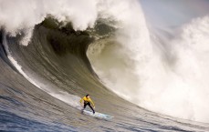 【中国体彩网官方首页】卡帅赛后痛斥菜地球场坑害球队！直言郑智伤退代价太大得不偿失