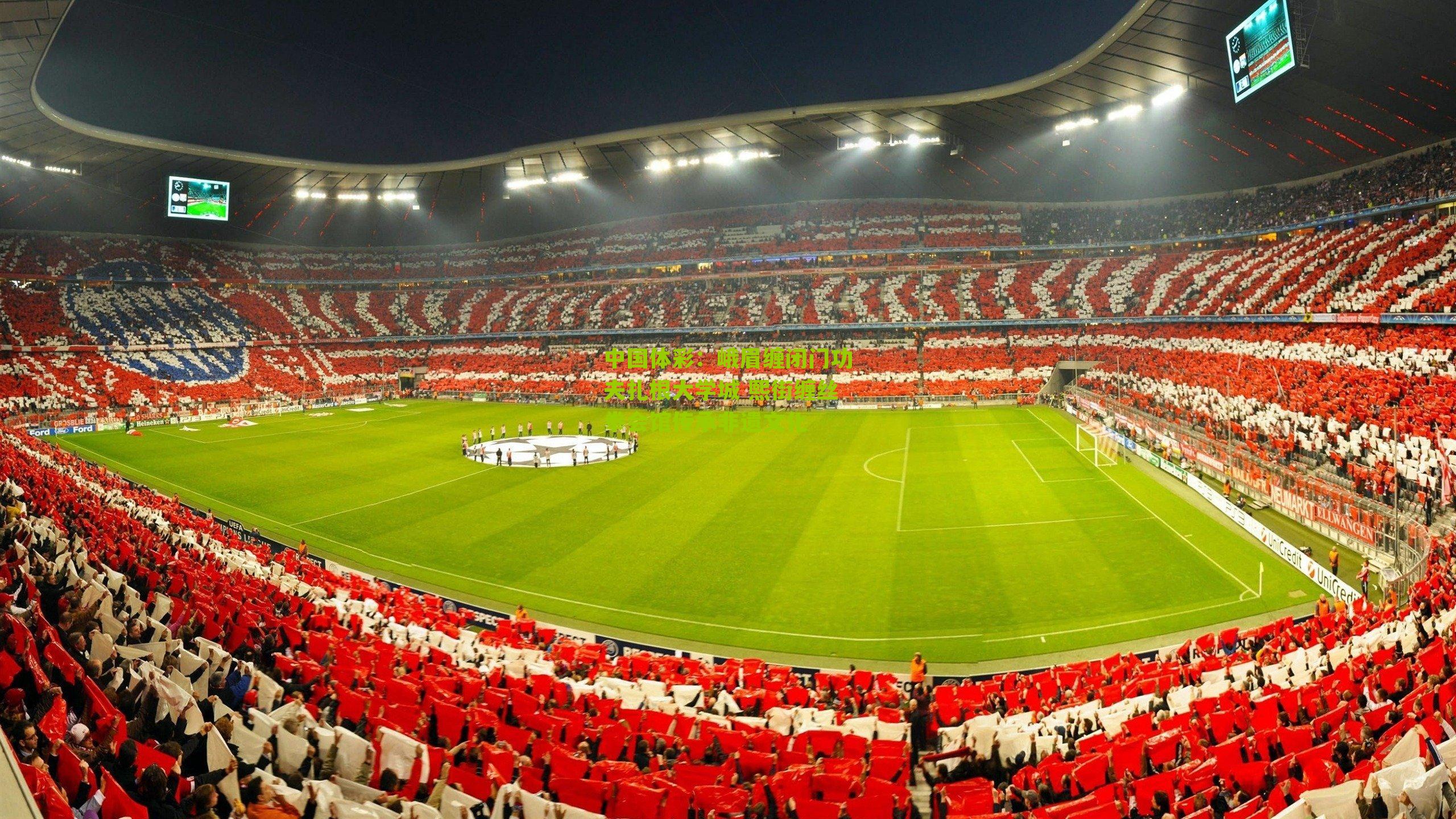 峨眉缠闭门功夫扎根大学城 熙街缠丝拳会馆传承非遗文化