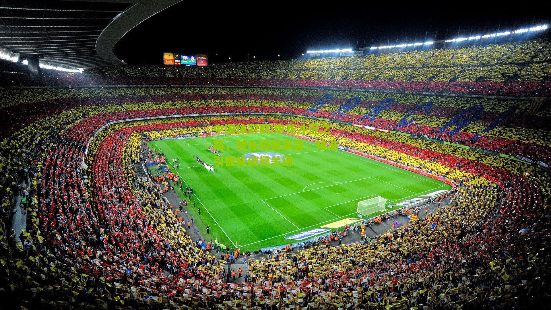 申花冲冠之路,替补短板暴露,精准引援成破局关键